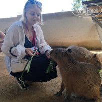 фото из отзыва ID 2733528