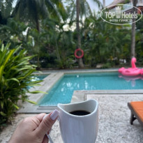 фото из отзыва ID 2733519