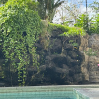 фото из отзыва ID 2733519