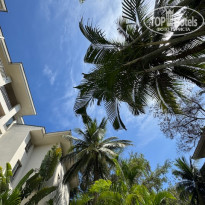 фото из отзыва ID 2733519