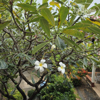 фото из отзыва ID 2733520