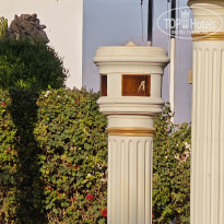 фото из отзыва ID 2733501