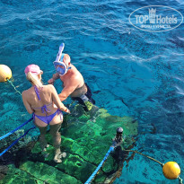 фото из отзыва ID 2733501