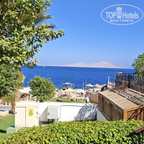 фото из отзыва ID 2733501