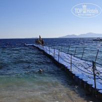 фото из отзыва ID 2733501