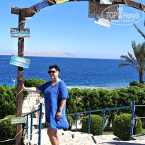 фото из отзыва ID 2733501