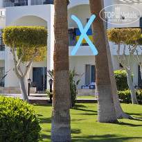 фото из отзыва ID 2733501