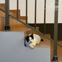 фото из отзыва ID 2733551