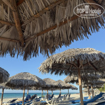 фото из отзыва ID 2733551