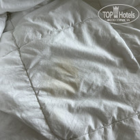 фото из отзыва ID 2733574