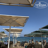 фото из отзыва ID 2733580