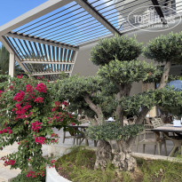 фото из отзыва ID 2733580