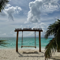 фото из отзыва ID 2733497