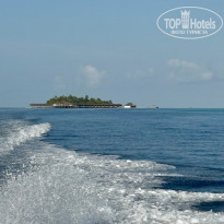 фото из отзыва ID 2733497