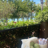 фото из отзыва ID 2733606