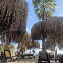 фото из отзыва ID 2733606