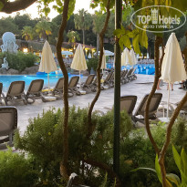 фото из отзыва ID 2733606