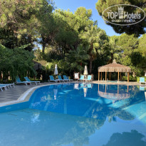 фото из отзыва ID 2733606