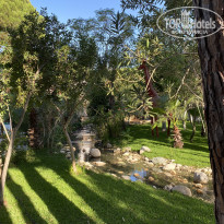 фото из отзыва ID 2733606