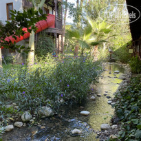 фото из отзыва ID 2733606