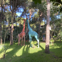 фото из отзыва ID 2733606