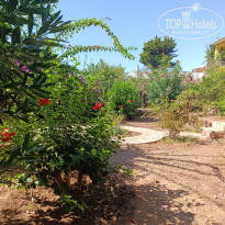 фото из отзыва ID 2733610