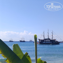 фото из отзыва ID 2733610