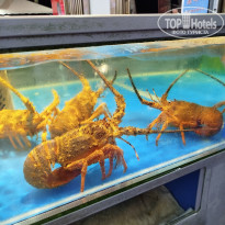 фото из отзыва ID 2733605