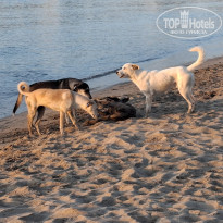 фото из отзыва ID 2733583