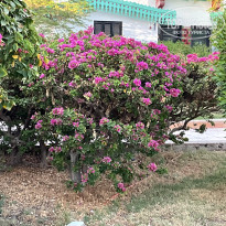 фото из отзыва ID 2733583