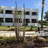 фото из отзыва ID 2733583