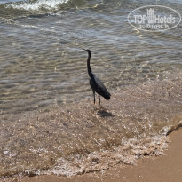 фото из отзыва ID 2733583