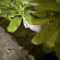 фото из отзыва ID 2733603