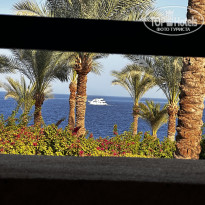 фото из отзыва ID 2733602