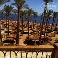 фото из отзыва ID 2733602