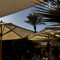 фото из отзыва ID 2733602