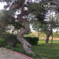 фото из отзыва ID 2733633