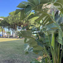 фото из отзыва ID 2733636