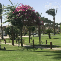 фото из отзыва ID 2733648