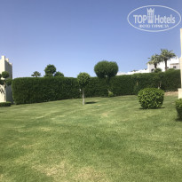 фото из отзыва ID 2733648