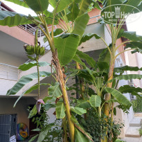 фото из отзыва ID 2733671