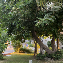 фото из отзыва ID 2733671