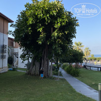 фото из отзыва ID 2733671