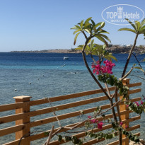 фото из отзыва ID 2733668