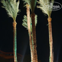 фото из отзыва ID 2733685