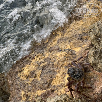 фото из отзыва ID 2733687