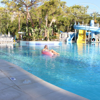 фото из отзыва ID 2733708