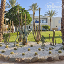 фото из отзыва ID 2733732