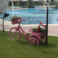 фото из отзыва ID 2733769