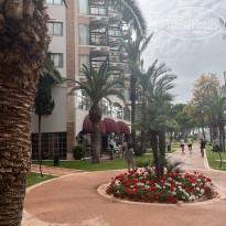 фото из отзыва ID 2733769